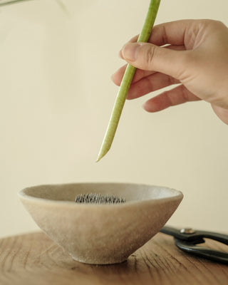 Ikebana Flower Arrangement Set