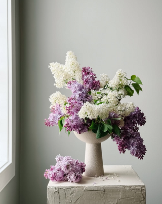 Lotus Pedestal Ceramic Vases