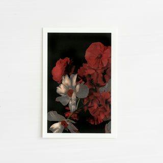 White Orchid | Card