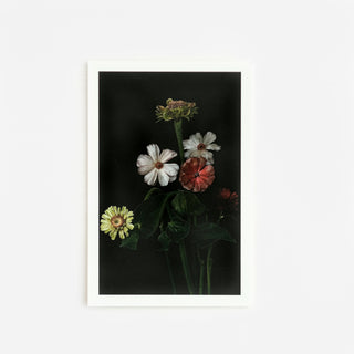 White Orchid | Card